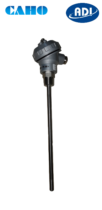 Cảm biến nhiệt độ Can PT 100 kiểu củ hành Caho 20AP16.0D400LL