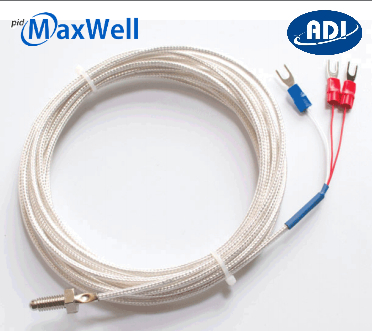 Cảm biến nhiệt độ Can PT100 Maxwell PT100-N-N-M6- 2000-SS-200