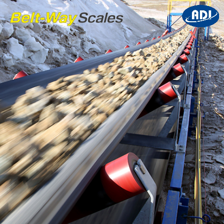 Thiết bị cân băng tải BELTWAY SCALE